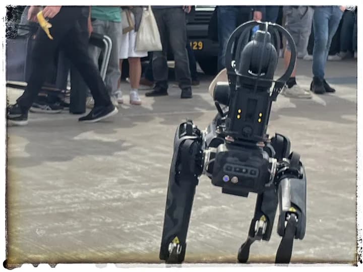 Vision 60 – när robothunden möter den riktiga hunden